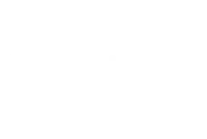 L&T