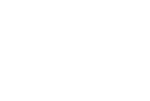 Wärtsilä