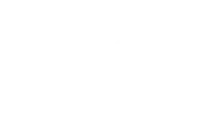 Vaisala