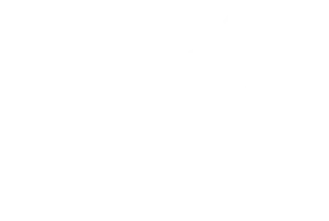 wartsila